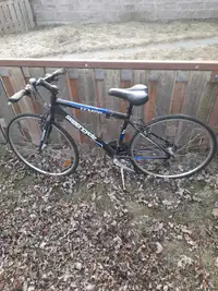 Bike needs repair back tire 