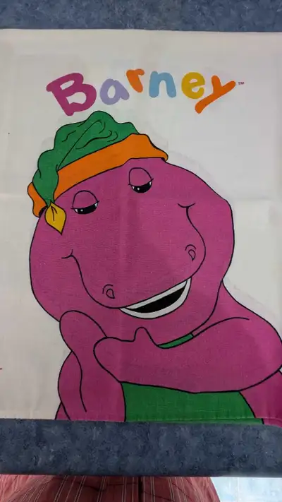Barney Pillow cases , View more