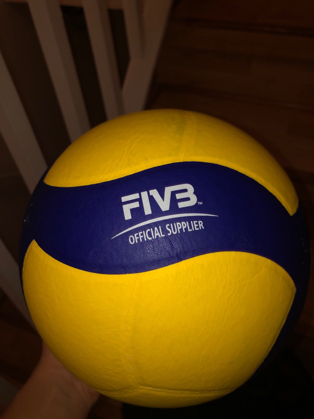 Offical Mikasa Volleyball in Other in Abbotsford - Image 4