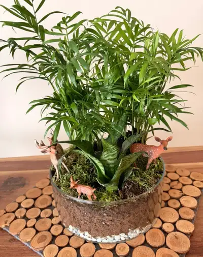 Indoor Plant Arrangement, View more