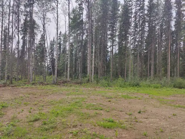 5.1 Acres For Sale Near Stuart Lake, BC in Land for Sale in Downtown-West End - Image 7