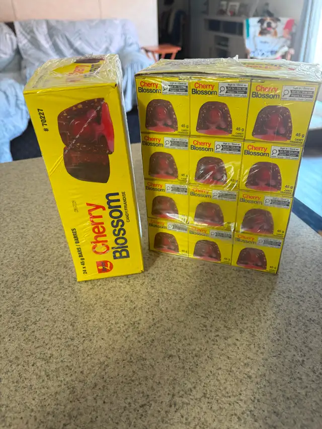Cherry Blossom chocolate for sale