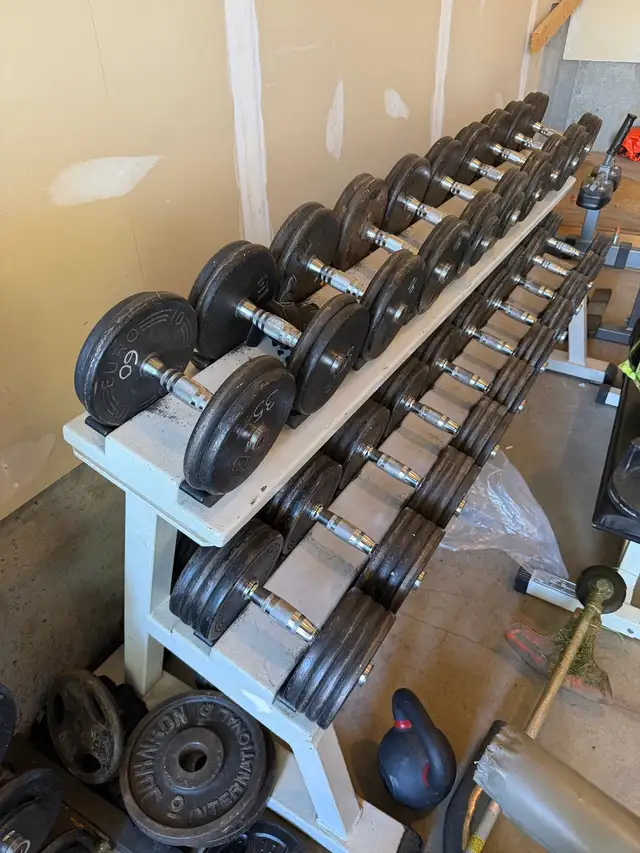 Steel Dumbells and Rack519880161531023361