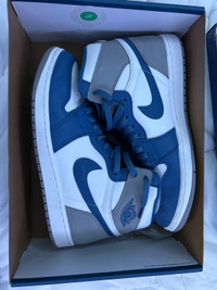 Air Jordan 1’s true blue size 12