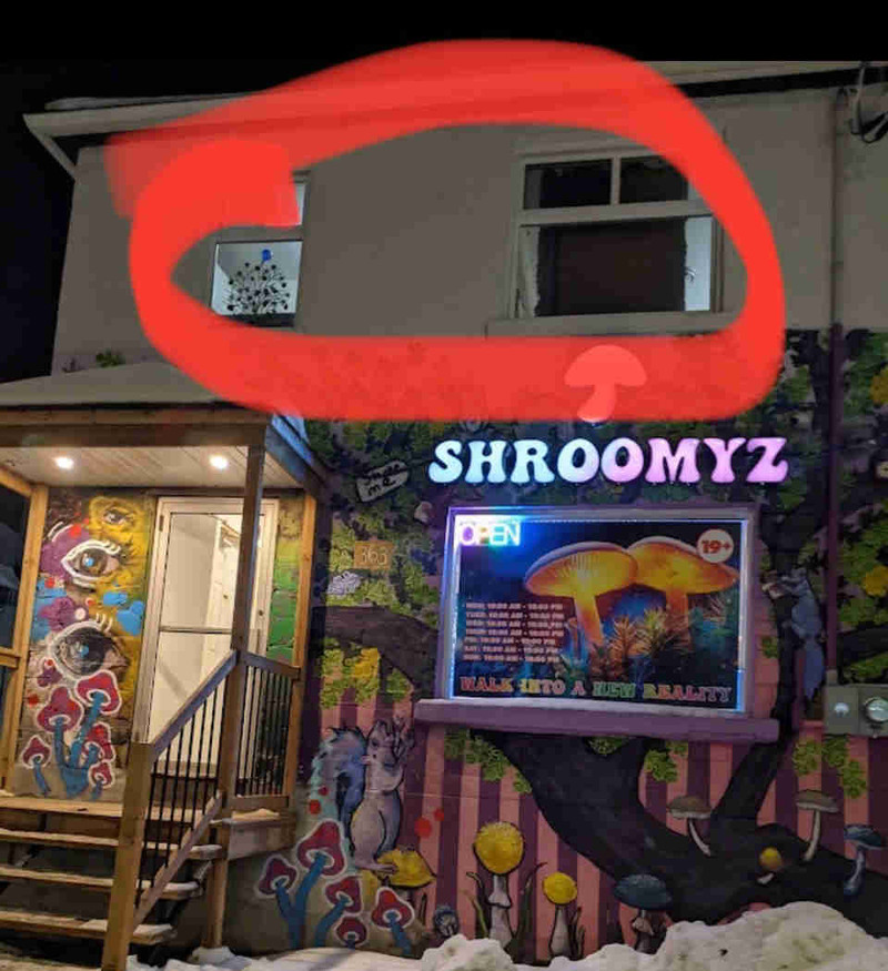 For rent Little Italy Preston st. Room in 3 bed apt. Room Rentals & Roommates Ottawa