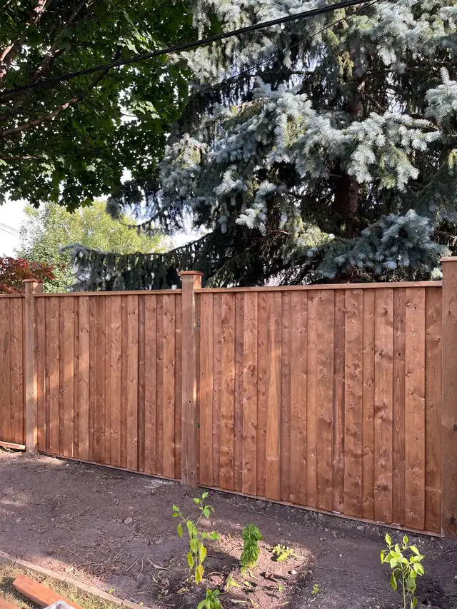 FENCE COMPANY SUMMER 2025 (647)-308-685862864357116801122
