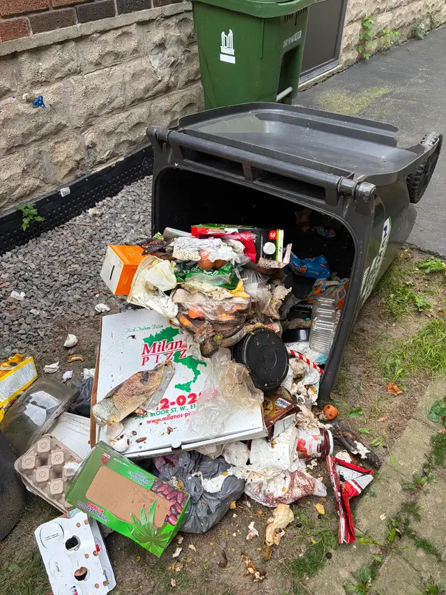 Martel’s garbage removal600046541986877444