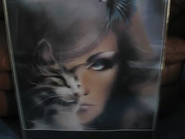 Girl Cat Bird Framed Airbrush Poster62854392441345123