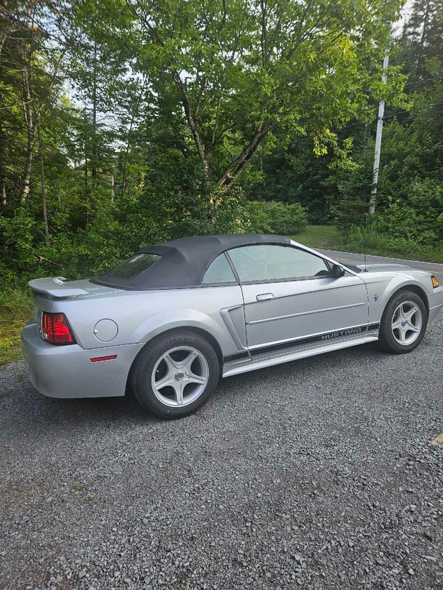 Ford mustang 2004 — photo 4