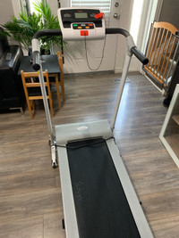 Sunny Health and Fitness folding treadmill. 