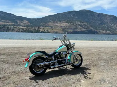 Hi there……just throwing this out there to see if there is interest. Not sure I will be riding this y...