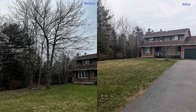 Tree/Brush Removal & Tree Trimming in Lawn, Tree Maintenance & Eavestrough in Cole Harbour - Image 4