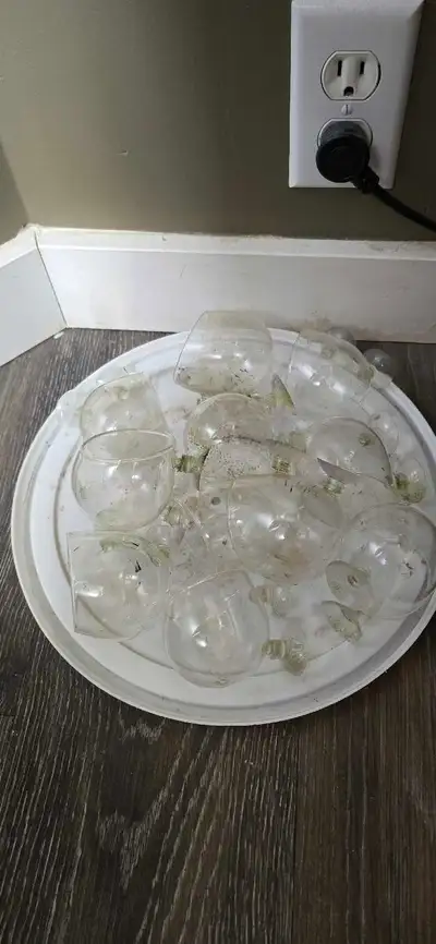 Large Aquarium planter cups, View more