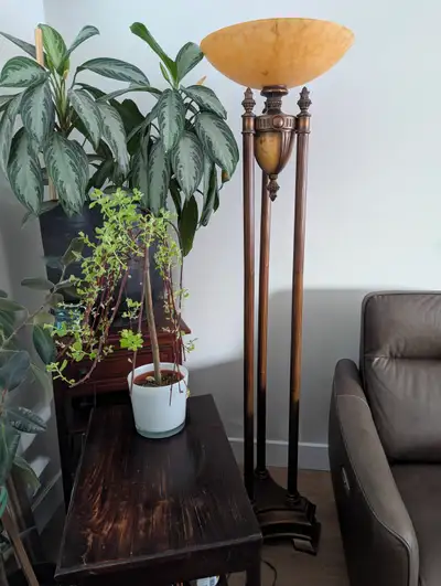 Torchiere Floor Lamp, View more