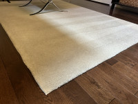 Carpet 4.5' x 7'