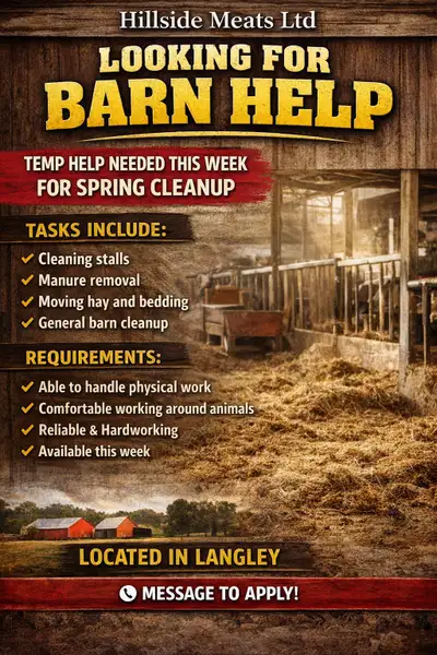barn clean up Job  this week, View more