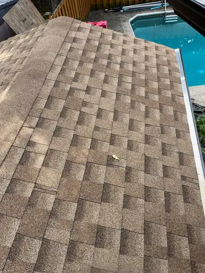 roof repairs/ gutter cleaning, View more