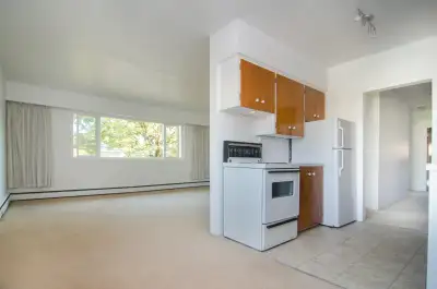 Spacious 2 Bedroom Suite With Spectacular Mountain View!!