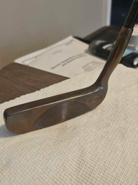 Yes! Sophia refinished blade putter