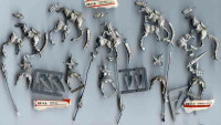 Dark Elf Cold One Knights Standard & Champion Warhammer (x6) AoS