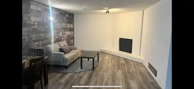 Newly Updated 2 bedroom basement suite