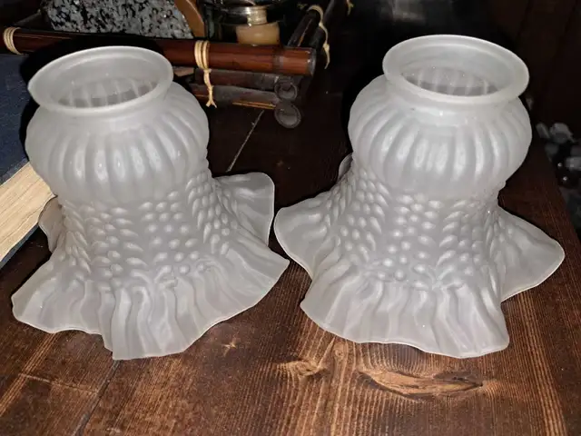 light /bathroom lamp/shades..$5 in Indoor Lighting & Fans in Belleville - Image 2