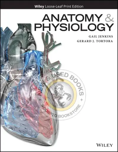 Anatomy and Physiology by Gail Jenkins LOOSELEAF 9781119240396, View more