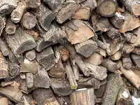 ♦️♦️♦️ FIREWOOD  &  BRANCHES SALE  SPECIAL ♦️♦️♦️