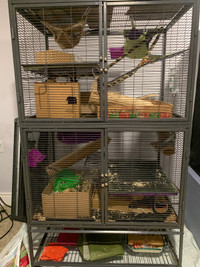 Rat cage 