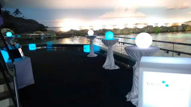 glow ball rental-$15/pc63006658901377121