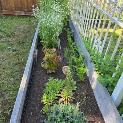 Planter, enriched soil & weed barrier, View more