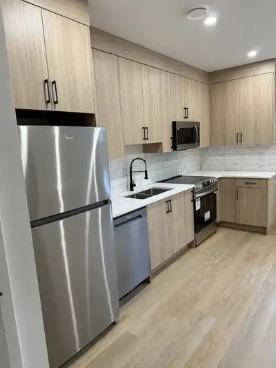 WORKING PROFESSIONALS - 1 BEDROOM BASEMENT AVAILABLE, View more