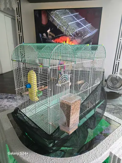 20$ each with cage 80$