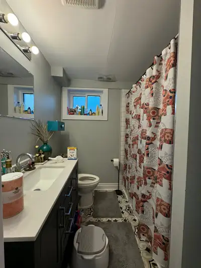 1Bedroom available in a legal basement with separate entrance, kitchen, den, 1parking and private la...