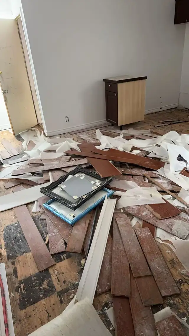 Junk Removal65244523437826122