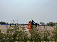 Equestrian facilities for lease