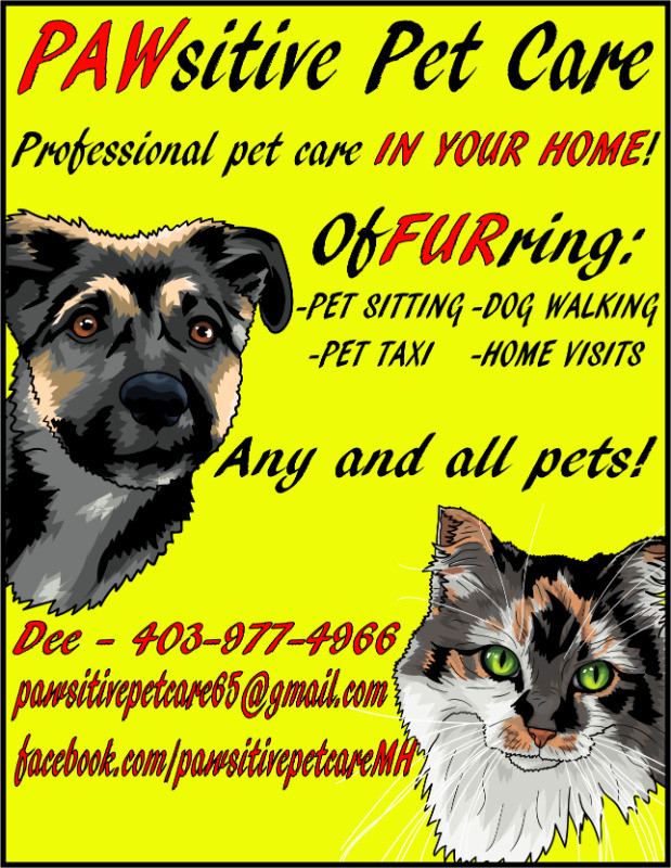 About: Loyalty Pet Care Services Arlington's Favorite Pet Sitter, Cat  Sitter & Dog Walker