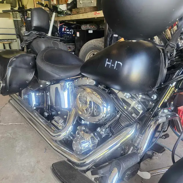 harley fat boy in Street, Cruisers & Choppers in Edmonton - Image 4