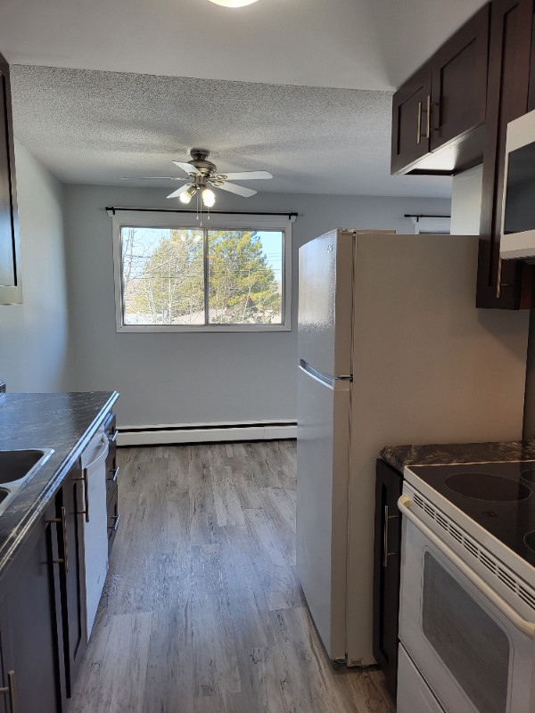 Fox Creek, Bright Two Bedroom Apartment Long Term Rentals Edmonton