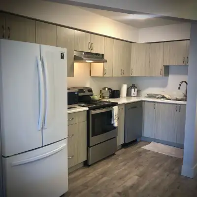A Furnished Master Bedroom / Looking for roommate