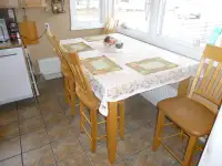 Birch Table & 4 Birch chairs for sale