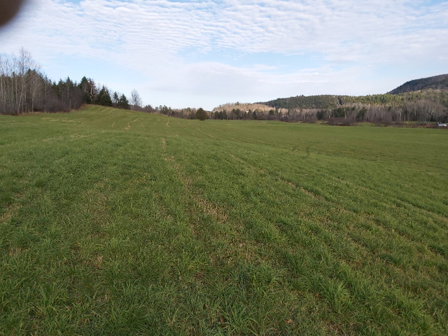 Terre agricole et forestière a vendre Lanaudiere dans Terrains à vendre  à Lanaudière - Image 3