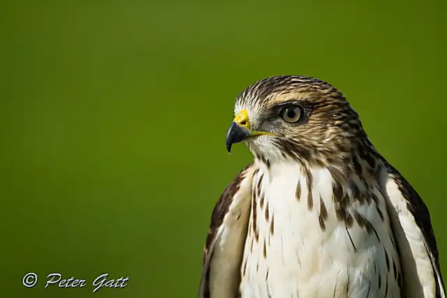 LIVE Interactive Photography Courses (Online)64551245031298123