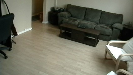 FREE Huge Light Reno'd 1100ft² Apt,Etc=24hr/wk Job Onsite: VIDEO 4