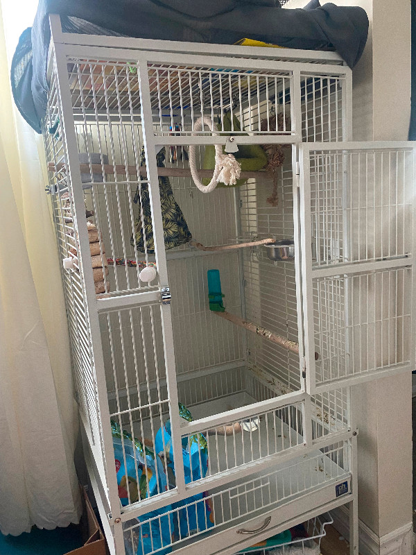 Large bird cage in Birds for Rehoming in Oshawa / Durham Region
