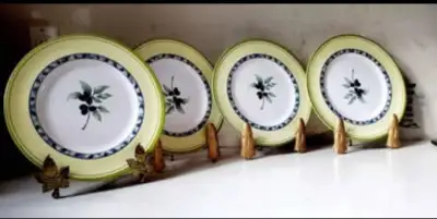 Vintage Royal Doulton Carmina Melamine Patio Dinner Plates, View more