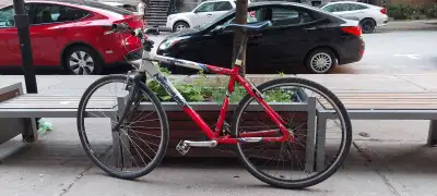 - Size M/L - Speeds 3(front) x 8(back) = 24 - Frame: Aluminum alloy 6061 - Fork: Carbon - New Bontra...