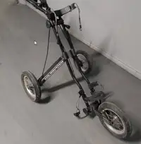 Chariot (cart) de golf
