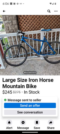 Iron Horse bicycle