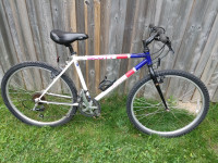 Scott peak mountain bike (17.5" frame)